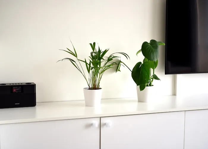 Ostend Sea View Apartment
